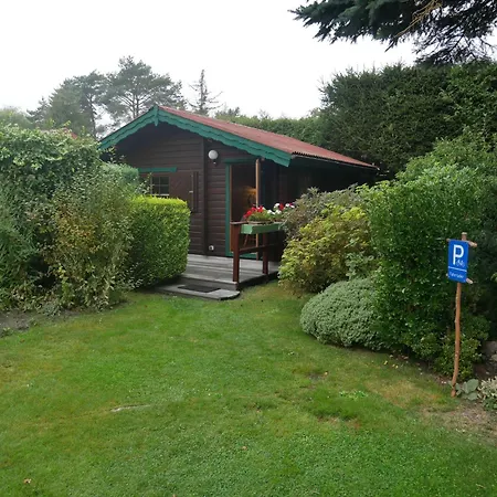 Brandl Daire Penzance